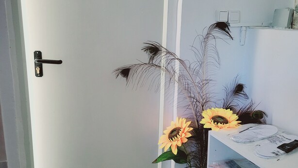 Una habitación con una puerta de vidrio esmerilado, un felpudo con el nombre "Renwings", un jarrón con girasoles y plumas decorativas, y una estantería blanca con objetos encima.