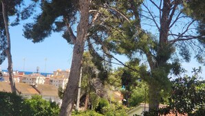 Un barrio residencial con altos pinos, cielo azul despejado y edificios con techos de tejas rojas.
