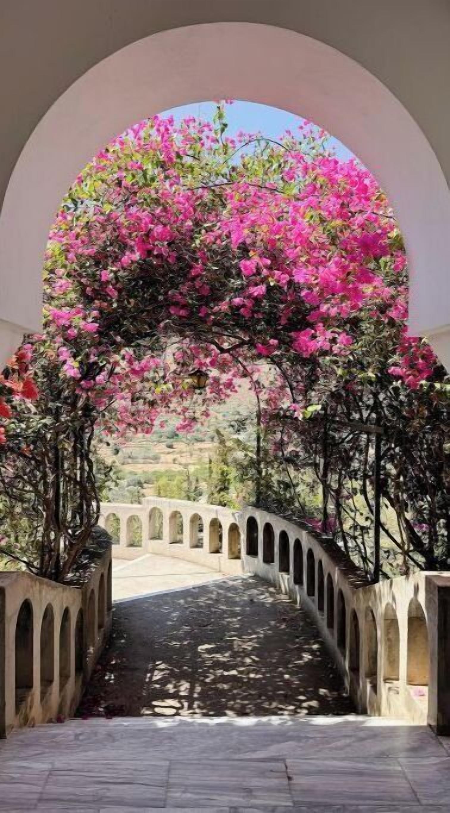 Enceinte de l’hébergement