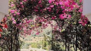 Un chemin en arc bordé de fleurs roses et agrémenté d’une balustrade en pierre.