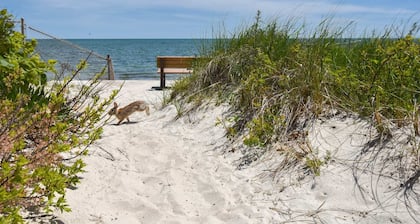 Short Drive to Gray's Beach!