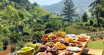 Jayawardane's Bungalow - Mandaramnuwara