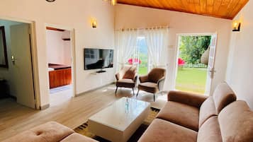 Een smart-tv, een open haard, een filmbibliotheek en een stereo