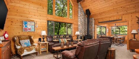 Televisión, chimenea y libros