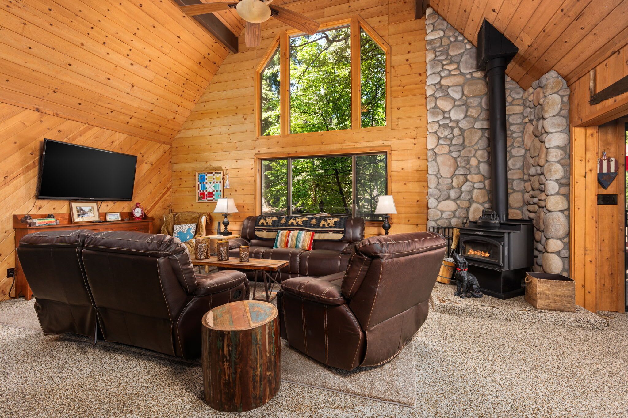 TV, fireplace, books