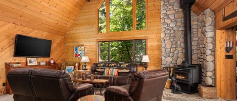 Televisión, chimenea y libros