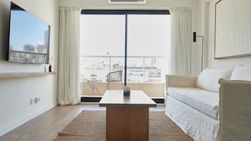 高级公寓 | 起居区 | 平板电视