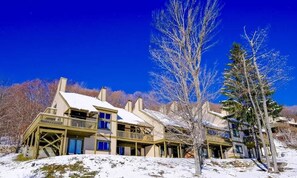 Exterior - Mountainside 3-BR Okemo Haven (Ludlow)