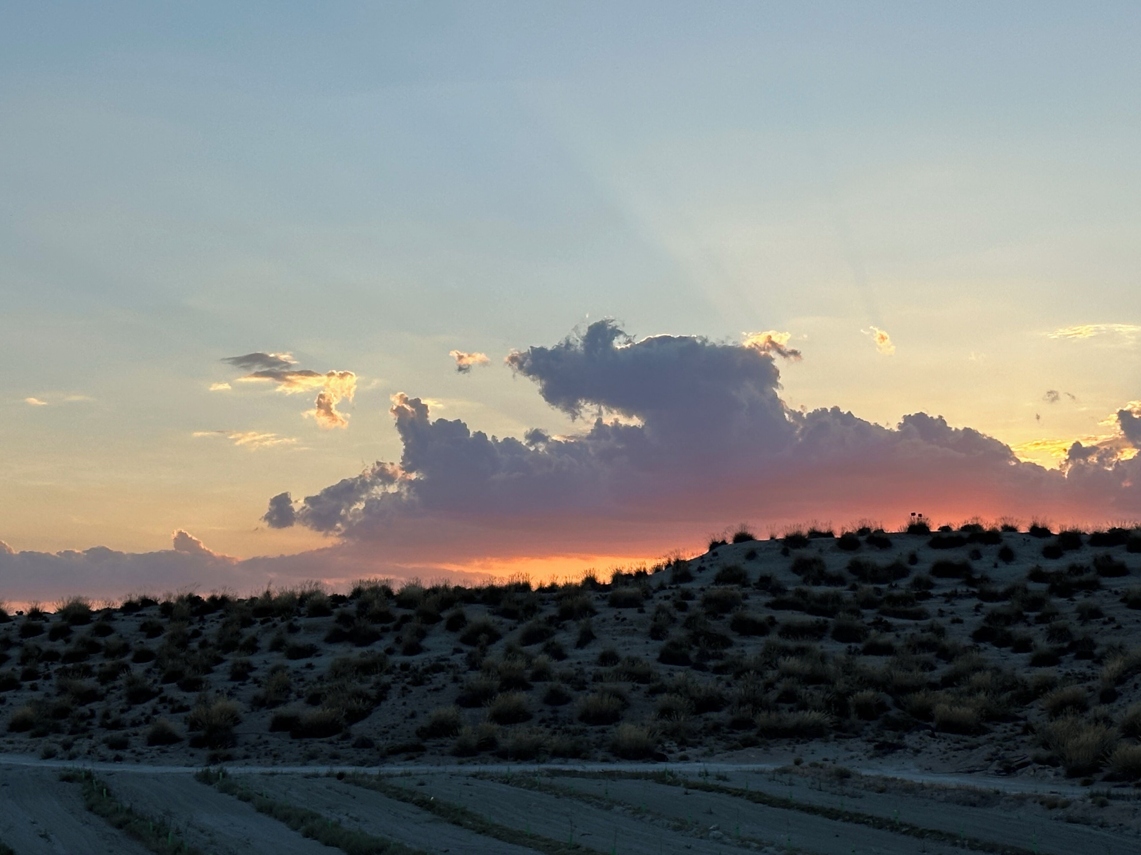 Paisagem desértica com vegetação escassa e céu limpo.