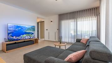 TV, fireplace, table tennis