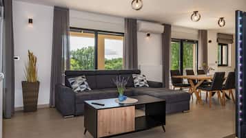 TV, fireplace, table tennis