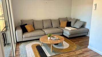 Fernseher, Kamin