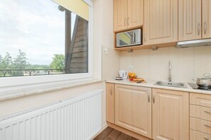 Fridge, microwave, stovetop, electric kettle