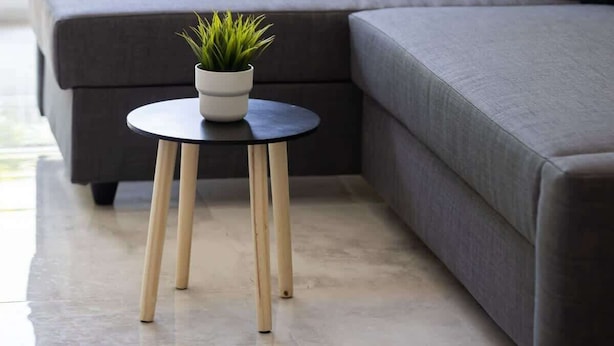 Un salon moderne avec un canapé gris, une petite table ronde agrémentée d’une plante, et une vue sur la verdure à l’extérieur.