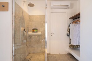 Shower, eco-friendly toiletries, hair dryer, towels