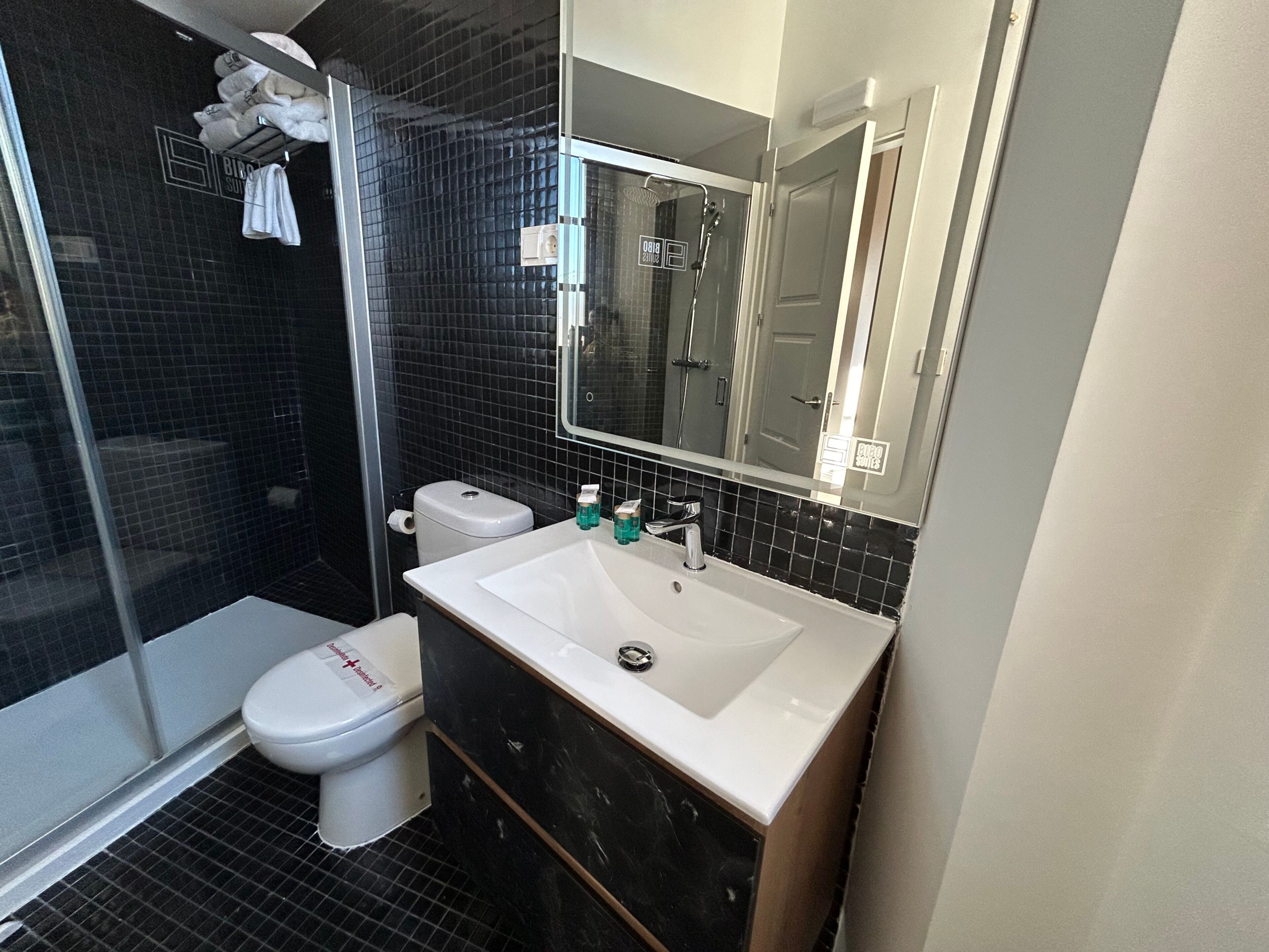 A modern bathroom with a glass-enclosed shower, a white toilet, and a vanity with a mirror.