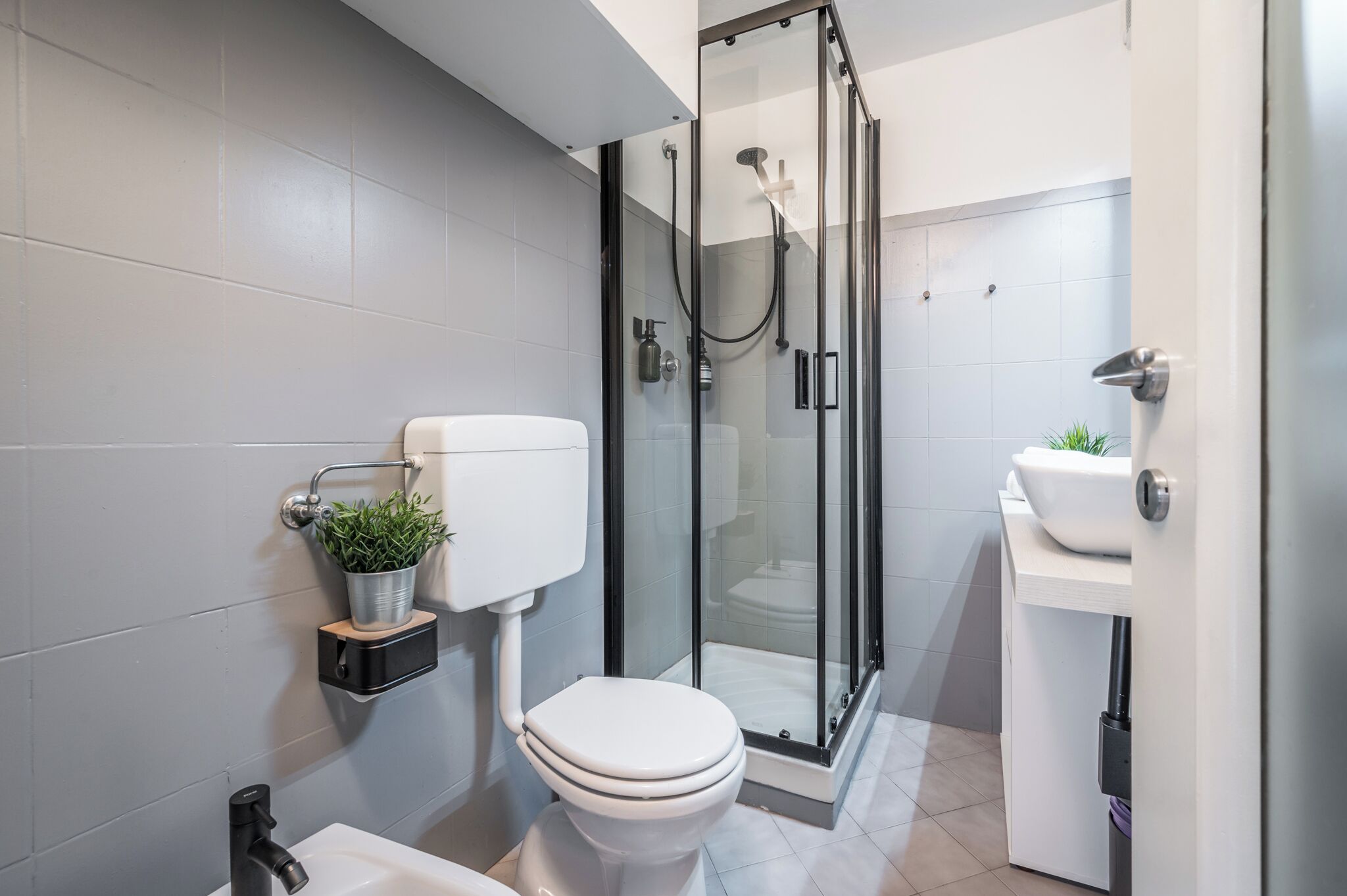 Shower, hair dryer, bidet, towels