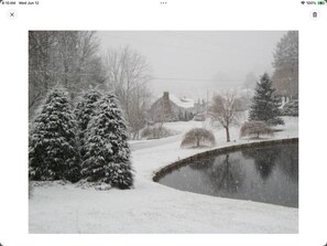 Pool - country charm cottage in a quiet neighborhood. easy access.  (Franklin)