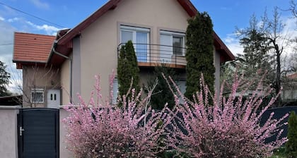 Lavender Apartment offers accommodations in Siófok, one mile from Sosto Beach
