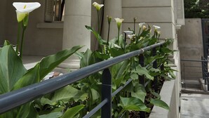 Un bâtiment à l’architecture classique, avec des colonnes et un balcon.