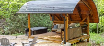 Creekside Fern in Pisgah Forest