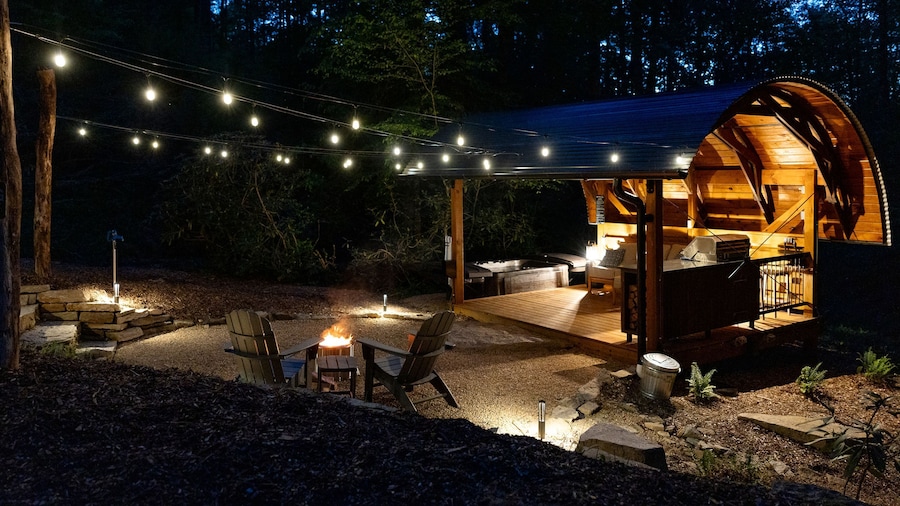 Creekside Fern in Pisgah Forest