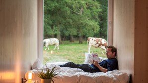 A person lying on a bed in a room with a window, reading a book titled "SLOW". - Kalmdown Cabin - Antwerp (Wuustwezel)
