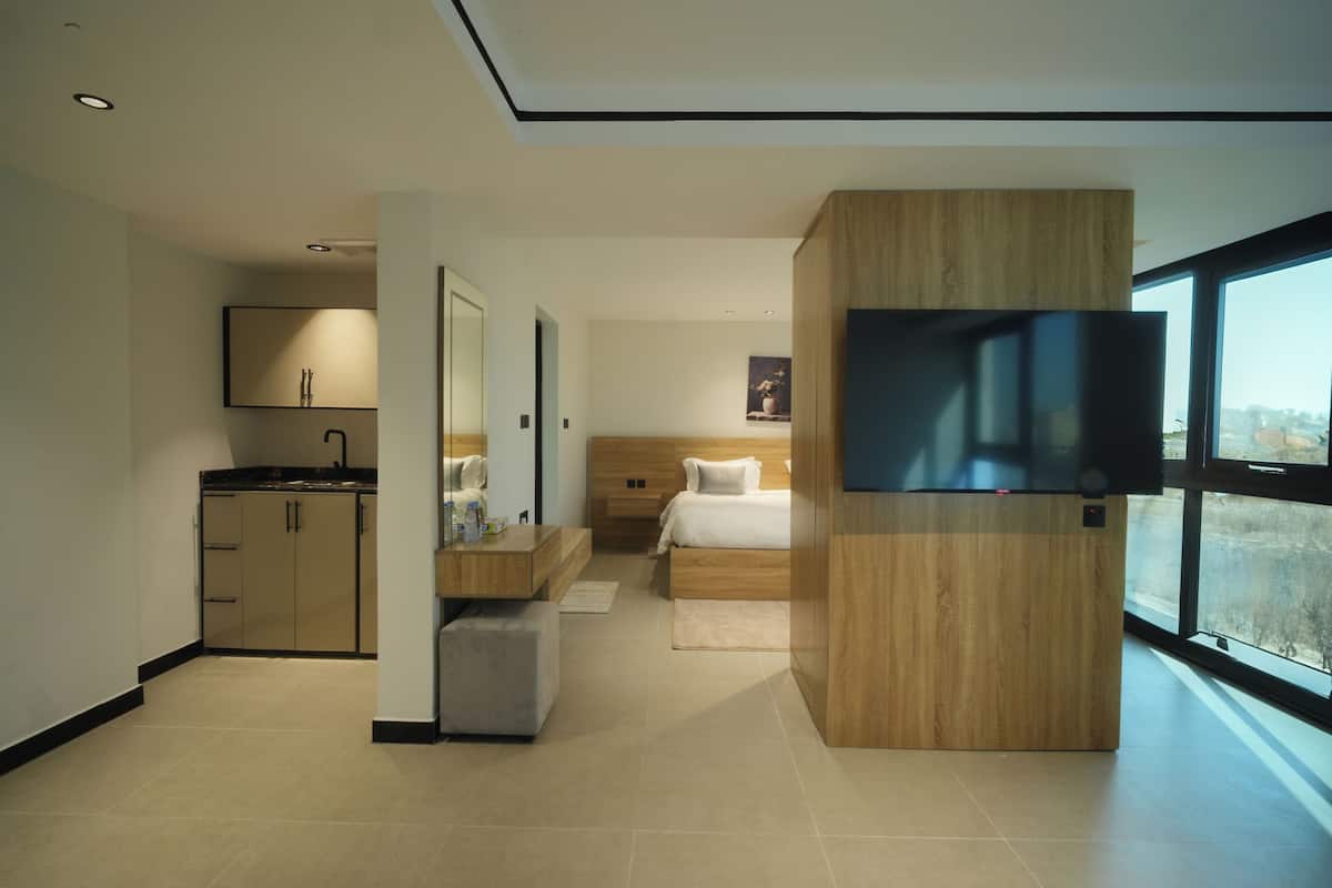 A modern hotel room with a wooden wardrobe, a flat-screen TV, a bed, a small kitchenette, and a large window offering a city view.