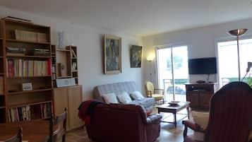 Télévision, lecteur de DVD, livres