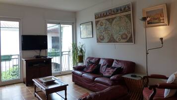 Televisie, een dvd-speler en boeken