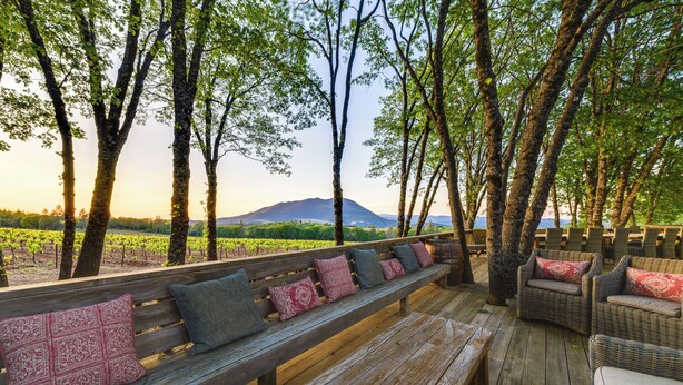 Un espacio al aire libre con bancos de madera y mobiliario de mimbre, rodeado de árboles y vistas a viñedos.