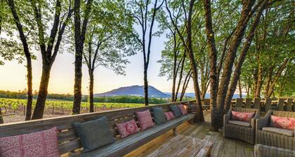 Kelseyville Home w/ Private Pool & Vineyard Views!
