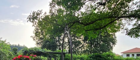 Un área de estar al aire libre con una mesa de piedra, una parrilla de metal y una planta en maceta.