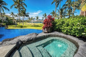 Una piscina con hidromasaje, rodeada de palmeras y un cielo azul despejado.