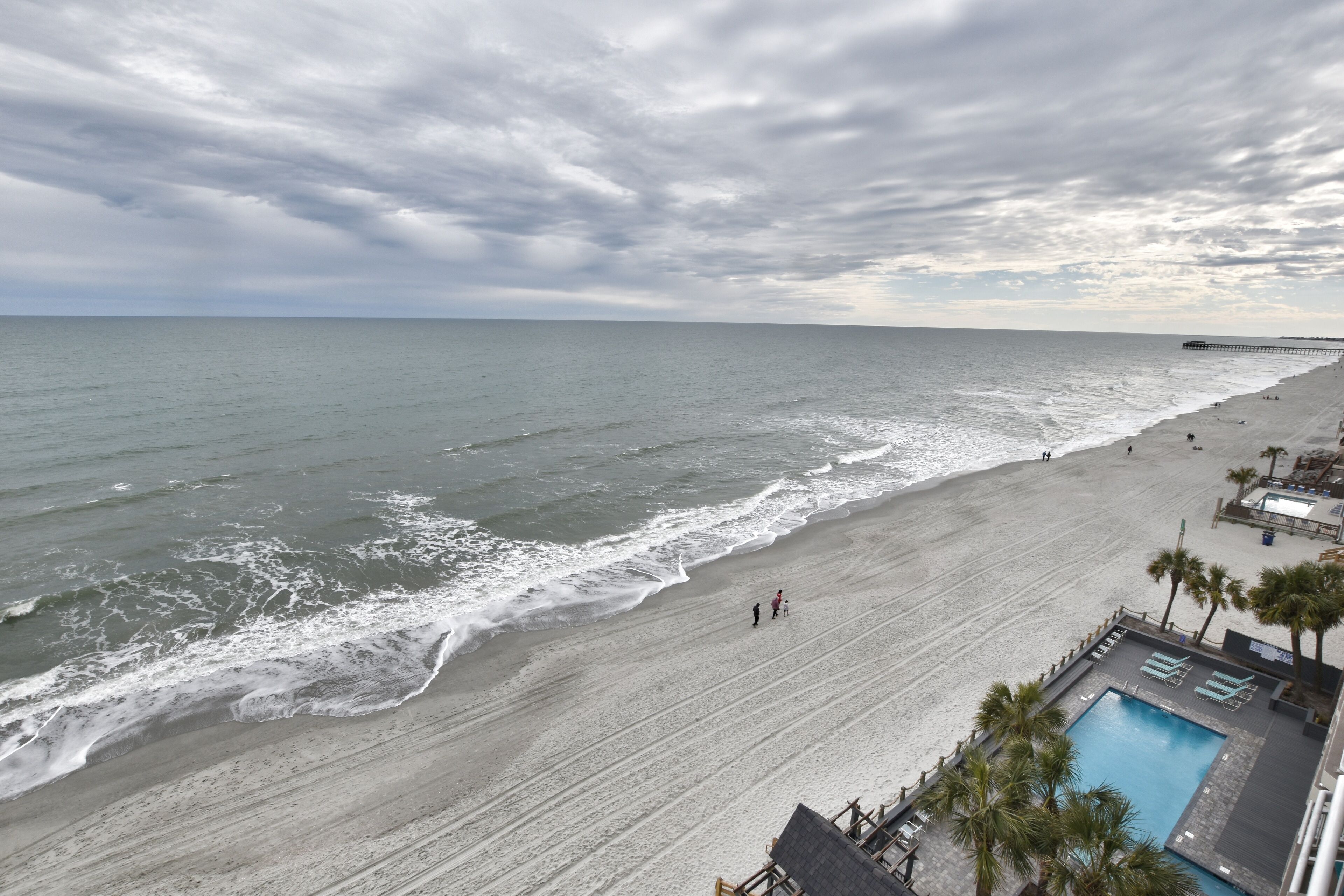 A beach with a pool and palm trees.