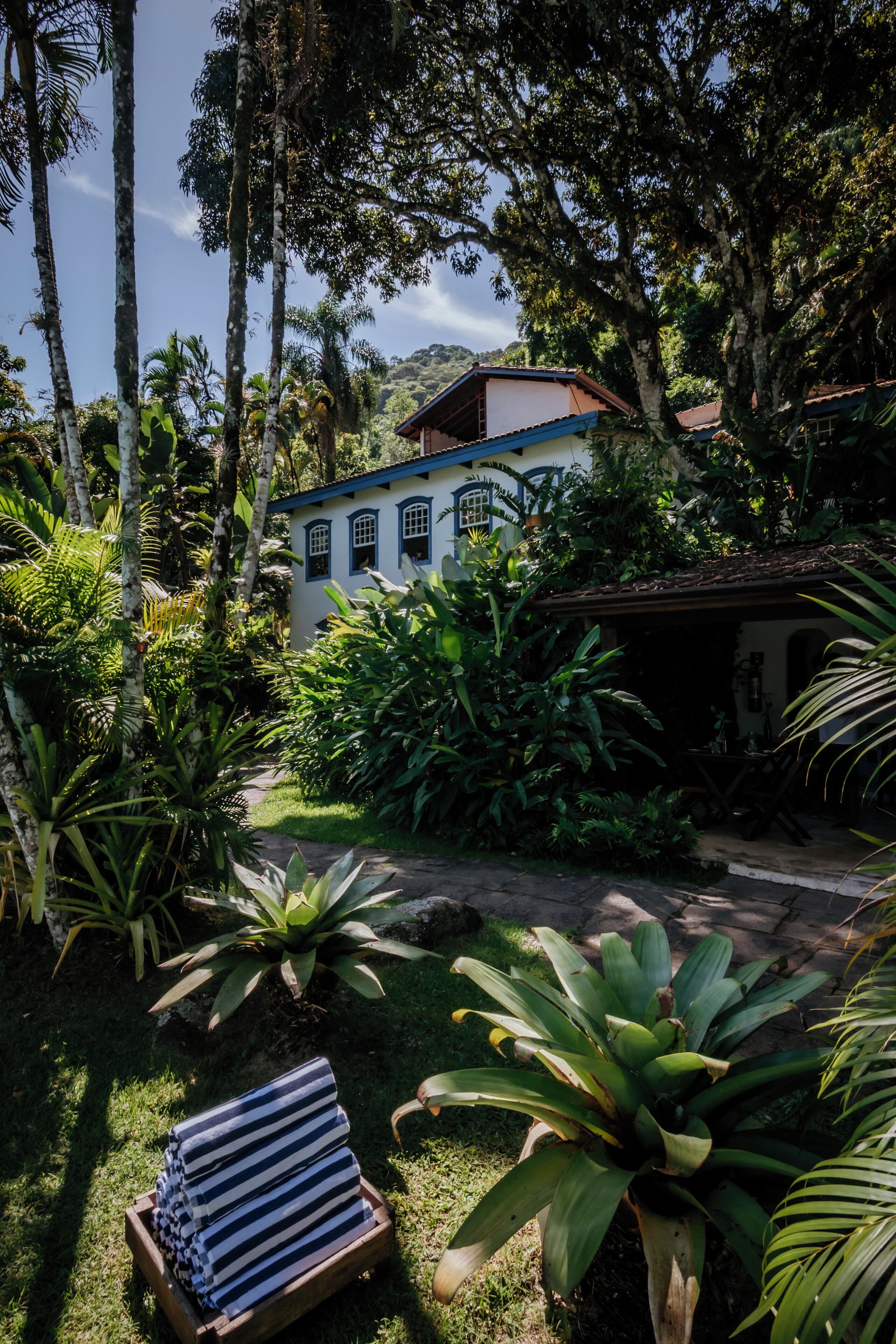 Um jardim exuberante com um edifício branco, um banco de madeira com almofadas listradas e diversas plantas tropicais.
