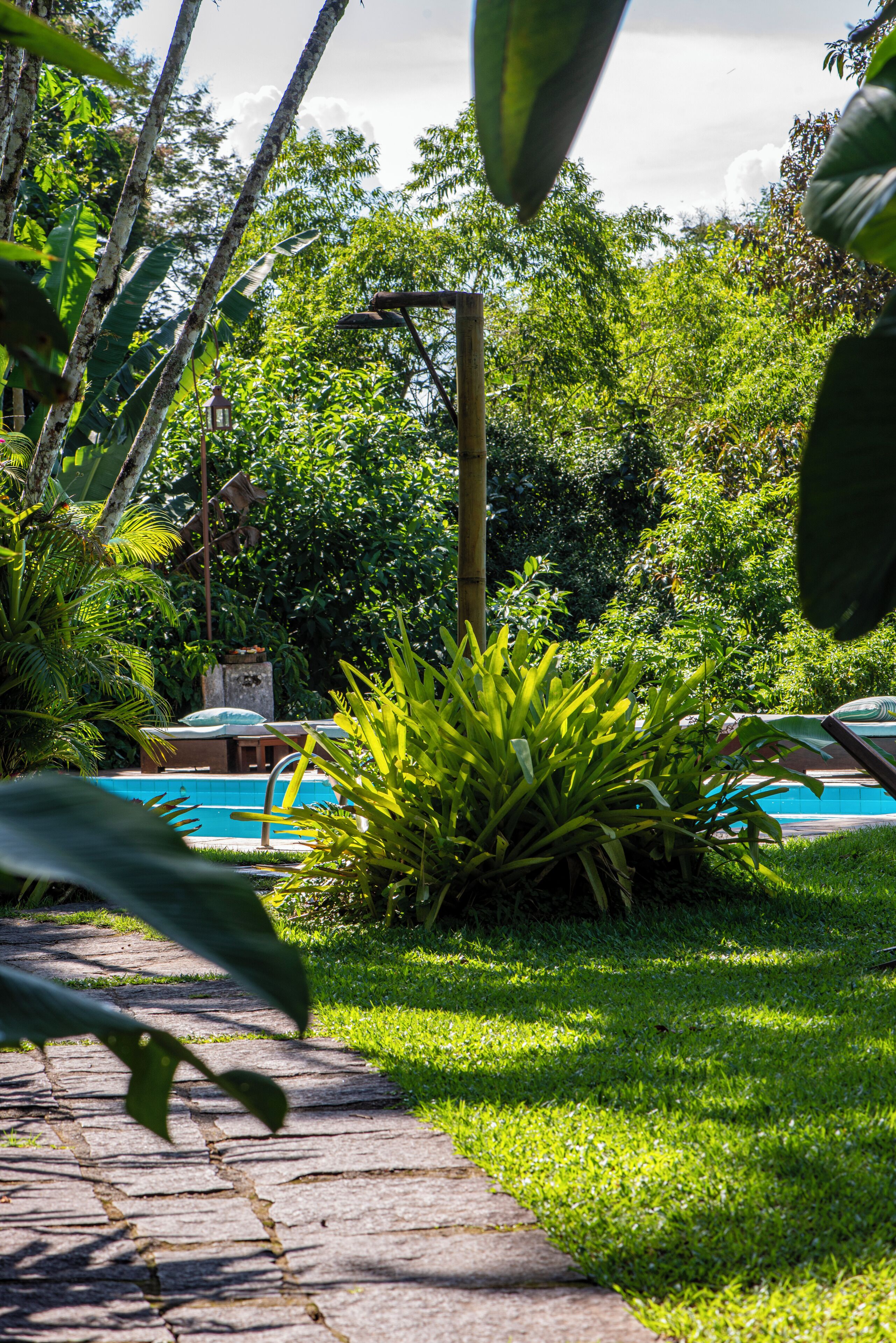 Um jardim com piscina, caminho de pedra e vegetação exuberante.
