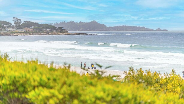 A beach with waves, a few people, and greenery in the foreground. - Carmel Romantic Escape for 2 (Carmel)