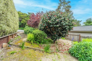 Property grounds - Carmel Romantic Escape for 2 (Carmel)