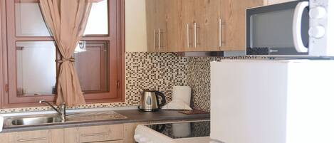 Fridge, oven, stovetop, coffee/tea maker