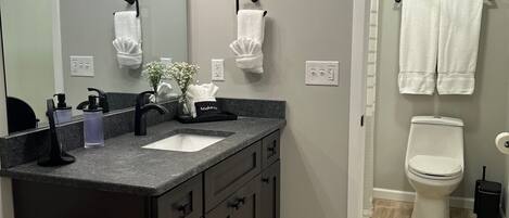 Hair dryer, towels, toilet paper