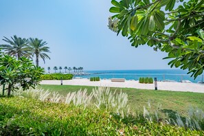 Une plage avec des palmiers, une zone sablonneuse et un ciel bleu dégagé.