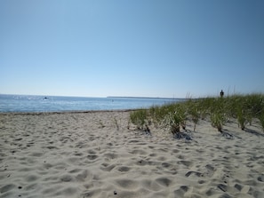 Perto da praia 