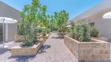 Terraço/pátio