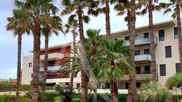 Un edificio moderno con diversi piani, immerso in un giardino curato con palme e varie piante.