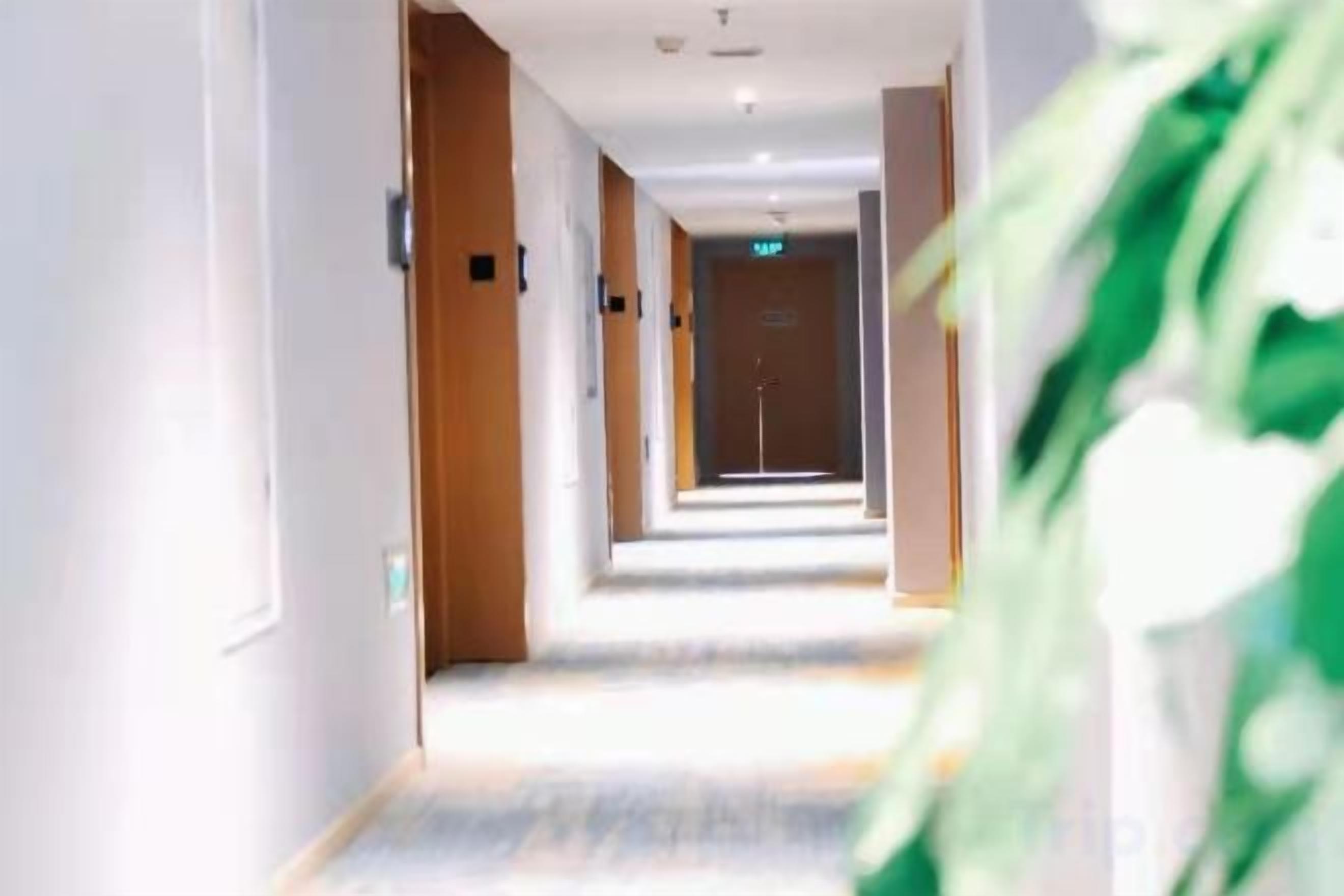 Un couloir d’hôtel avec des portes des deux côtés, un sol recouvert de moquette et une plante sur la droite.