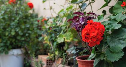 Modern & Sunny apartment with Garden View in the heart of the city center NYX 1