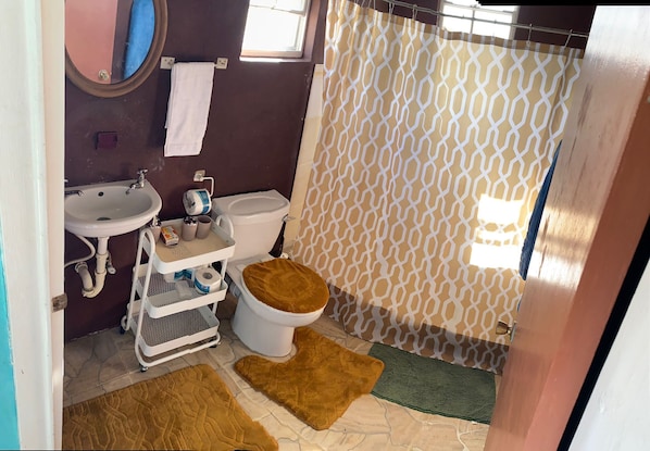 SĂšche-cheveux, serviettes fournies, savon, papier toilette