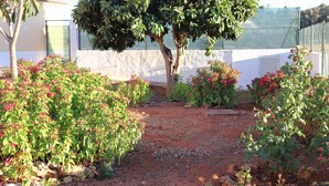 Un jardin avec un chemin de gravier, différentes plantes à fleurs et un arbre.