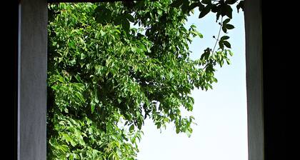 Country Rental Home Genalguacil Jubrique. Hiking, Biking, Nature, White Villages